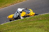 Advanced Group Yellow Bikes	